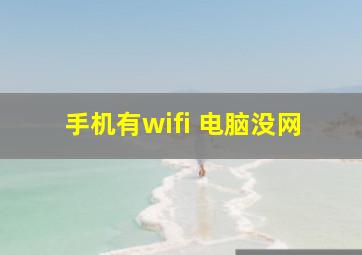 手机有wifi 电脑没网